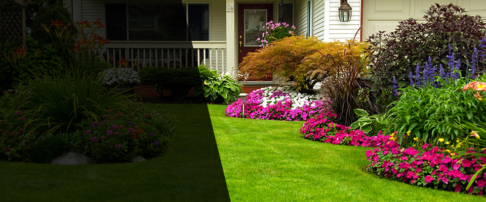 Hyde Park Landscapers